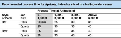 Canning Apricots Image